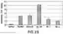 Fig. 28 - Compositions and methods for site directed genomic modification