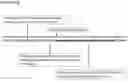 Fig. 03 - T-DNA VECTORS WITH ENGINEERED 5' SEQUENCES UPSTREAM OF POST-TRANSLATIONAL MODIFICATION ENZYMES AND METHODS OF USE THEREOF