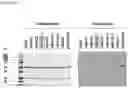 Fig. 19 - T-DNA VECTORS WITH ENGINEERED 5' SEQUENCES UPSTREAM OF POST-TRANSLATIONAL MODIFICATION ENZYMES AND METHODS OF USE THEREOF