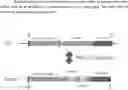 Fig. 01 - SUPPRESSION OF TARGET GENE EXPRESSION THROUGH GENOME EDITING OF NATIVE MIRNAS