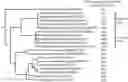 Fig. 01 - Pathogen resistance in plants