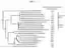 Fig. 02 - Pathogen resistance in plants
