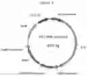 Fig. 10 - Pathogen resistance in plants