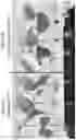 Fig. 14 - Pathogen resistance in plants