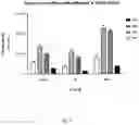 Fig. 05 - ARTIFICIAL NUCLEIC ACID MOLECULES
