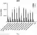 Fig. 07 - ARTIFICIAL NUCLEIC ACID MOLECULES