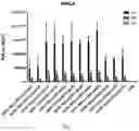 Fig. 08 - ARTIFICIAL NUCLEIC ACID MOLECULES