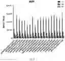 Fig. 09 - ARTIFICIAL NUCLEIC ACID MOLECULES