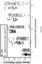 Fig. 09 - TRANSGENIC MOUSE MODELS SUPPORTING INNATE IMMUNE FUNCTION