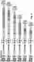 Fig. 07 - OPTIMIZED LENTIVIRAL VECTOR COMPROMISING MINIMAL ENHANCER ELEMENTS FOR STEM CELL GENE THERAPY OF HEMOGLOBINOPATHIES
