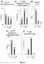 Fig. 12 - OPTIMIZED LENTIVIRAL VECTOR COMPROMISING MINIMAL ENHANCER ELEMENTS FOR STEM CELL GENE THERAPY OF HEMOGLOBINOPATHIES