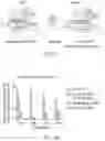 Fig. 02 - NUCLEOBASE EDITORS HAVING REDUCED OFF-TARGET DEAMINATION AND METHODS OF USING SAME TO MODIFY A NUCLEOBASE TARGET SEQUENCE