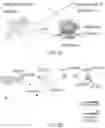 Fig. 04 - NUCLEOBASE EDITORS HAVING REDUCED OFF-TARGET DEAMINATION AND METHODS OF USING SAME TO MODIFY A NUCLEOBASE TARGET SEQUENCE