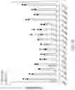 Fig. 08 - NUCLEOBASE EDITORS HAVING REDUCED OFF-TARGET DEAMINATION AND METHODS OF USING SAME TO MODIFY A NUCLEOBASE TARGET SEQUENCE