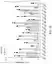 Fig. 10 - NUCLEOBASE EDITORS HAVING REDUCED OFF-TARGET DEAMINATION AND METHODS OF USING SAME TO MODIFY A NUCLEOBASE TARGET SEQUENCE