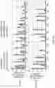 Fig. 16 - NUCLEOBASE EDITORS HAVING REDUCED OFF-TARGET DEAMINATION AND METHODS OF USING SAME TO MODIFY A NUCLEOBASE TARGET SEQUENCE