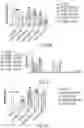 Fig. 17 - NUCLEOBASE EDITORS HAVING REDUCED OFF-TARGET DEAMINATION AND METHODS OF USING SAME TO MODIFY A NUCLEOBASE TARGET SEQUENCE