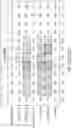 Fig. 44 - NUCLEOBASE EDITORS HAVING REDUCED OFF-TARGET DEAMINATION AND METHODS OF USING SAME TO MODIFY A NUCLEOBASE TARGET SEQUENCE