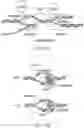 Fig. 51 - NUCLEOBASE EDITORS HAVING REDUCED OFF-TARGET DEAMINATION AND METHODS OF USING SAME TO MODIFY A NUCLEOBASE TARGET SEQUENCE