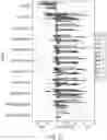 Fig. 59 - NUCLEOBASE EDITORS HAVING REDUCED OFF-TARGET DEAMINATION AND METHODS OF USING SAME TO MODIFY A NUCLEOBASE TARGET SEQUENCE