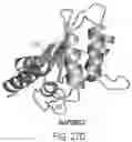 Fig. 79 - NUCLEOBASE EDITORS HAVING REDUCED OFF-TARGET DEAMINATION AND METHODS OF USING SAME TO MODIFY A NUCLEOBASE TARGET SEQUENCE