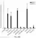 Fig. 81 - NUCLEOBASE EDITORS HAVING REDUCED OFF-TARGET DEAMINATION AND METHODS OF USING SAME TO MODIFY A NUCLEOBASE TARGET SEQUENCE