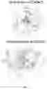 Fig. 05 - MODIFIED CHLORAMPHENICOL ACETYLTRANSFERASE AND BIOSYNTHESIS METHOD OF MAKING ESTERS USING SAME