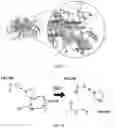Fig. 09 - MODIFIED CHLORAMPHENICOL ACETYLTRANSFERASE AND BIOSYNTHESIS METHOD OF MAKING ESTERS USING SAME