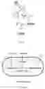 Fig. 11 - MODIFIED CHLORAMPHENICOL ACETYLTRANSFERASE AND BIOSYNTHESIS METHOD OF MAKING ESTERS USING SAME