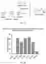 Fig. 17 - MODIFIED CHLORAMPHENICOL ACETYLTRANSFERASE AND BIOSYNTHESIS METHOD OF MAKING ESTERS USING SAME