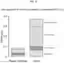 Fig. 22 - MODIFIED CHLORAMPHENICOL ACETYLTRANSFERASE AND BIOSYNTHESIS METHOD OF MAKING ESTERS USING SAME