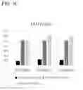 Fig. 07 - Recombinant algae having high lipid productivity