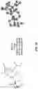 Fig. 06 - Epigenetic modification of fungi and uses thereof