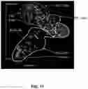 Fig. 15 - Epigenetic modification of fungi and uses thereof
