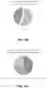 Fig. 19 - Epigenetic modification of fungi and uses thereof