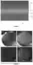 Fig. 02 - COMPOSITE MATERIAL WITH COATED DIFFUSED LAYER