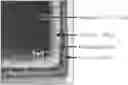 Fig. 01 - Surface treatment apparatus and surface treatment method