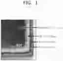Fig. 02 - Surface treatment apparatus and surface treatment method