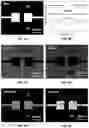 Fig. 10 - ADVANCED PRECURSORS FOR SELECTIVE ATOMIC LAYER DEPOSITION USING SELF-ASSEMBLED MONOLAYERS