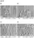 Fig. 04 - METHOD FOR PRODUCING A CORROSION-RESISTANT ALUMINUM-SILICON ALLOY CASTING, SUCH CORROSION-RESISTANT ALUMINUM-SILICON ALLOY CASTING AND ITS USE