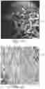 Fig. 03 - MICRO/NANO-LAYERED FILAMENTS