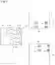 Fig. 12 - Pile joint, pile coupling structure, and pile coupling method