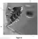 Fig. 11 - TOOL FOR AN EXCAVATOR