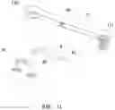 Fig. 12 - Electronic pull-out faucet