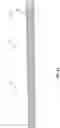 Fig. 08 - Hanging wall systems with diffuse lighting