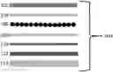 Fig. 01 - Self-adhered roofing systems and methods