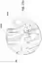 Fig. 29 - Device for closing and opening and/or for locking and unlocking doors, in particular doors of household appliances such as washing machines or the like