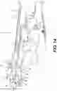 Fig. 14 - Active hood hinge assembly