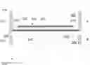 Fig. 01 - Electrochemical glazing with low emissivity