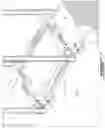 Fig. 12 - Ladder safety device